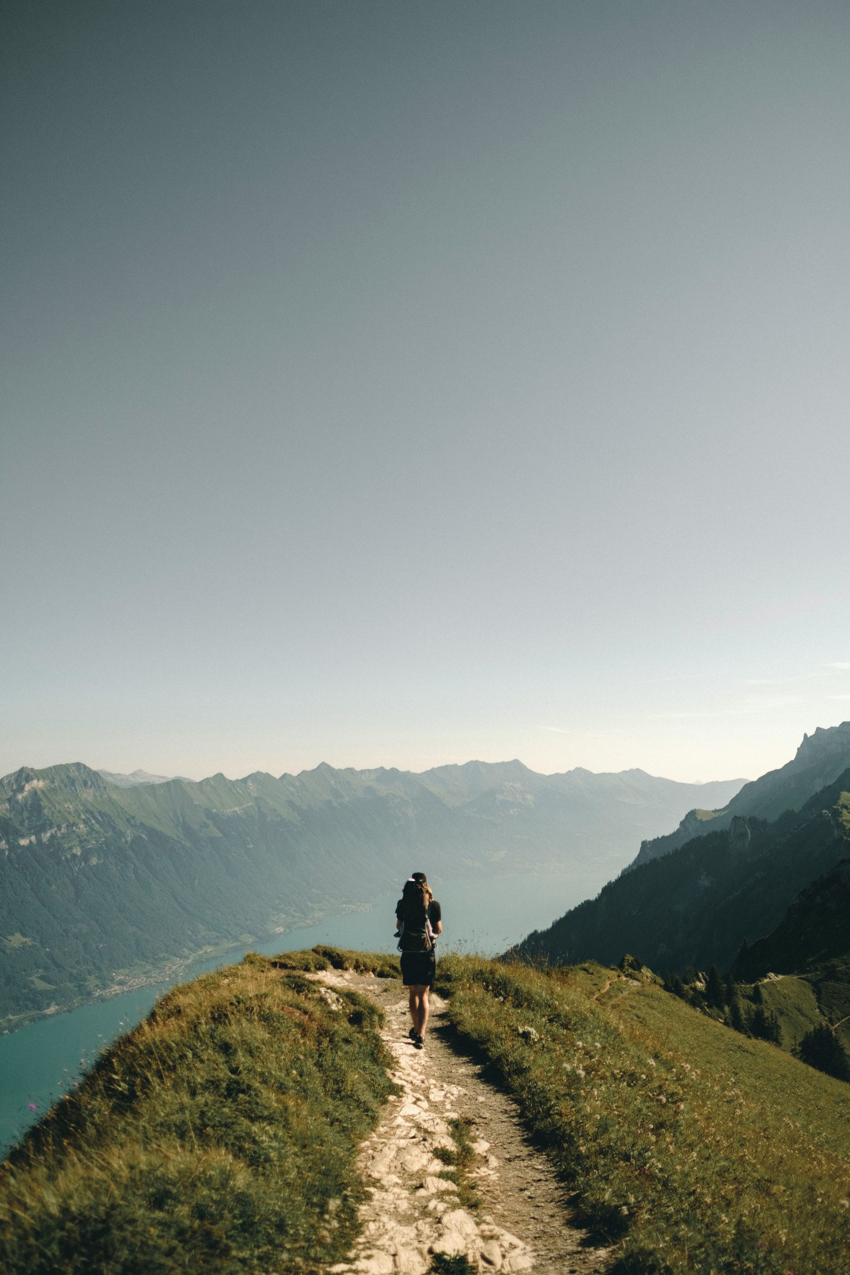 joel-jasmin-forestbird-znoL1m6MD_k-unsplash